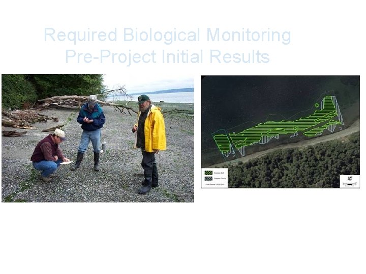 Required Biological Monitoring Pre-Project Initial Results Eelgrass Survey Forage Fish Monitoring 