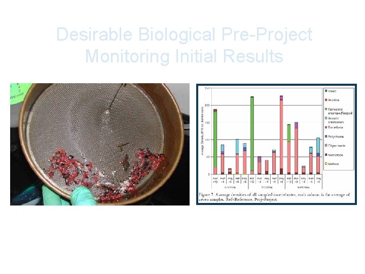 Desirable Biological Pre-Project Monitoring Initial Results Epibenthic On-Site Sampling Source: Toft, UW Wetland Ecosystem