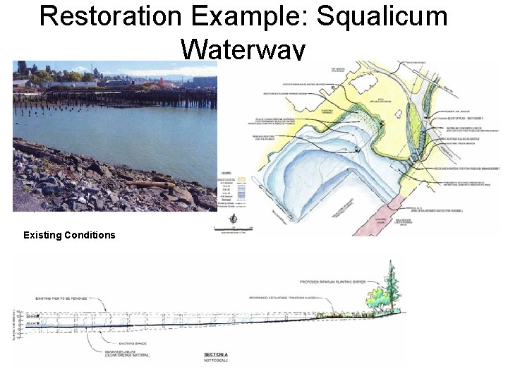 Restoration Example: Squalicum Waterway Existing Conditions 