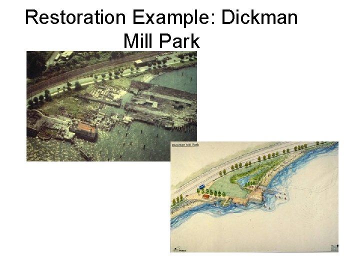 Restoration Example: Dickman Mill Park 