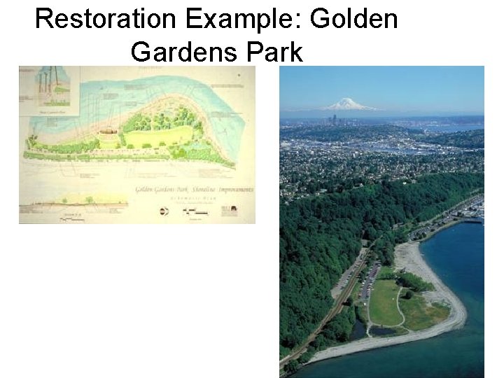 Restoration Example: Golden Gardens Park 