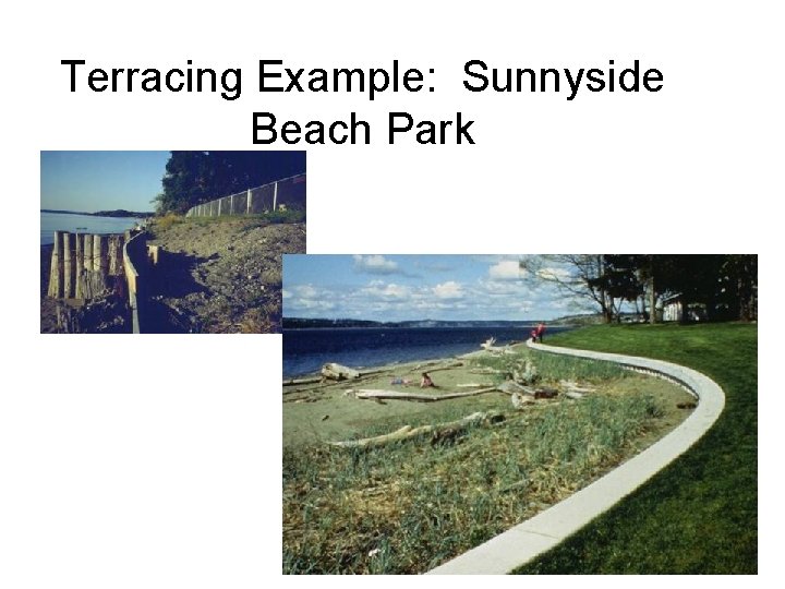 Terracing Example: Sunnyside Beach Park 