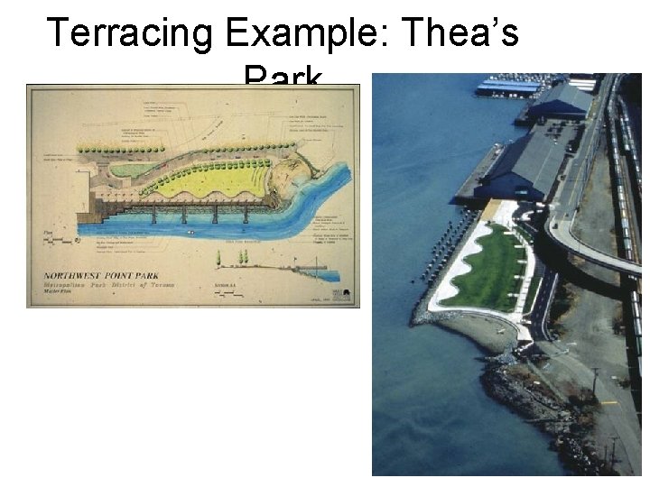 Terracing Example: Thea’s Park 