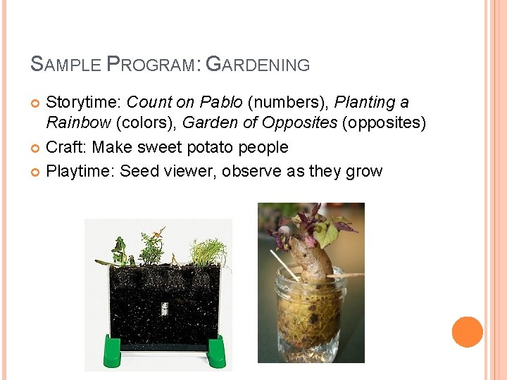 SAMPLE PROGRAM: GARDENING Storytime: Count on Pablo (numbers), Planting a Rainbow (colors), Garden of