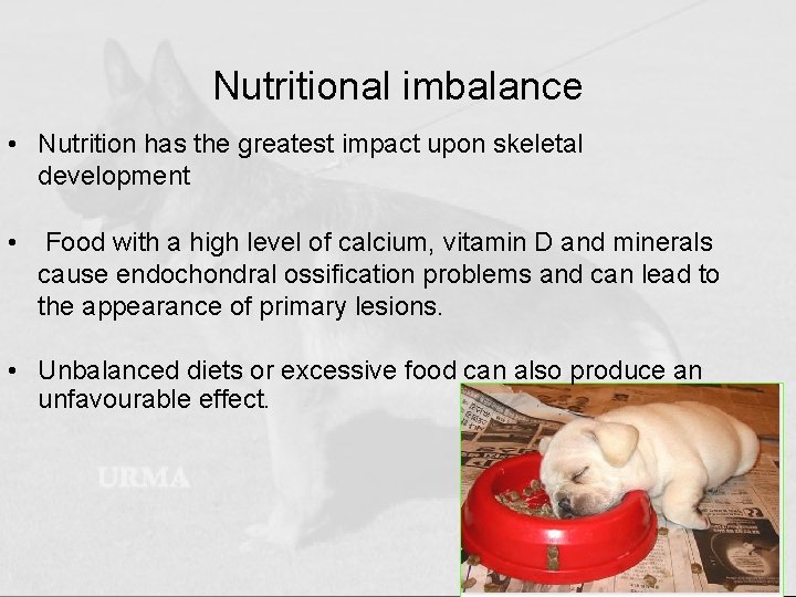 Nutritional imbalance • Nutrition has the greatest impact upon skeletal development • Food with