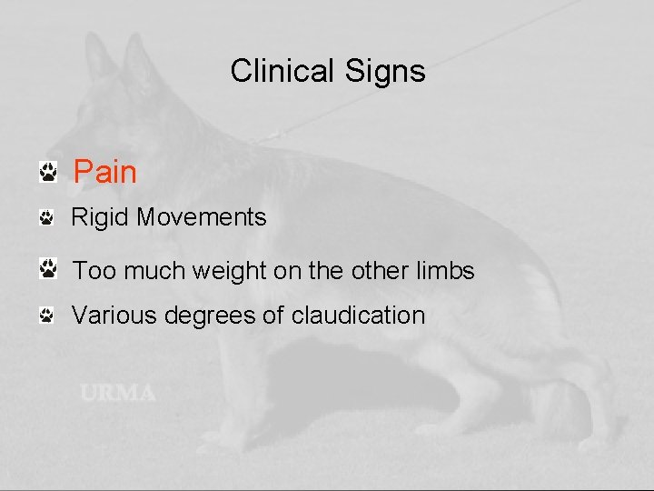 Clinical Signs Pain Rigid Movements Too much weight on the other limbs Various degrees