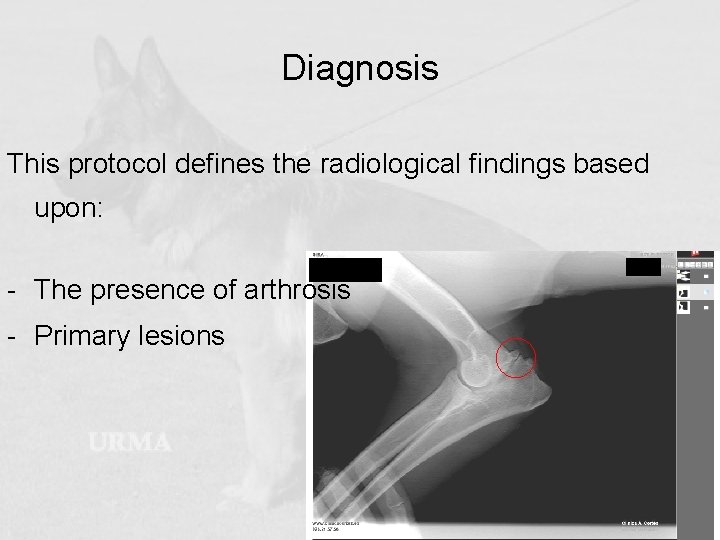 Diagnosis This protocol defines the radiological findings based upon: - The presence of arthrosis
