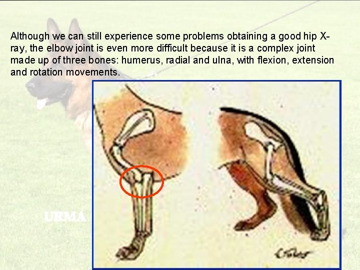 Although we can still experience some problems obtaining a good hip Xray, the elbow