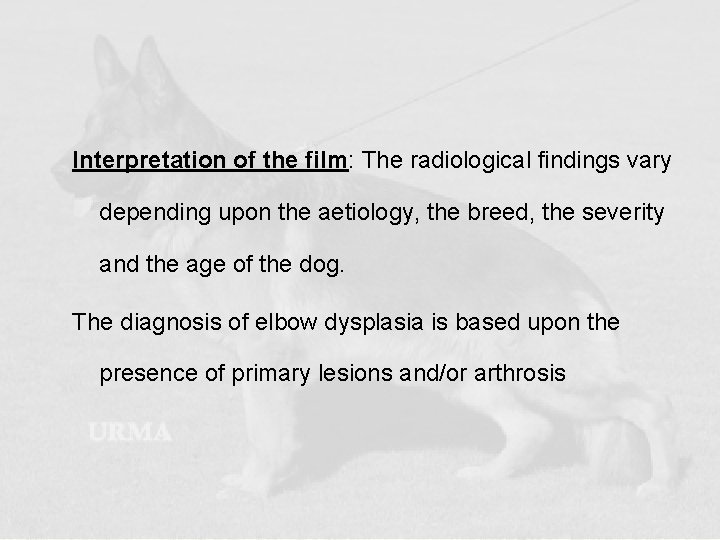 Interpretation of the film: The radiological findings vary depending upon the aetiology, the breed,