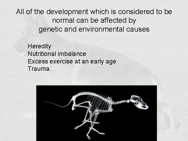All of the development which is considered to be normal can be affected by