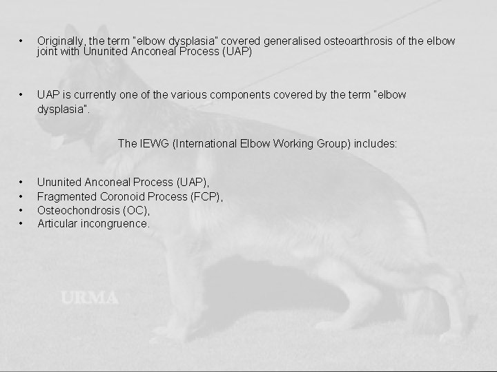  • Originally, the term “elbow dysplasia” covered generalised osteoarthrosis of the elbow joint