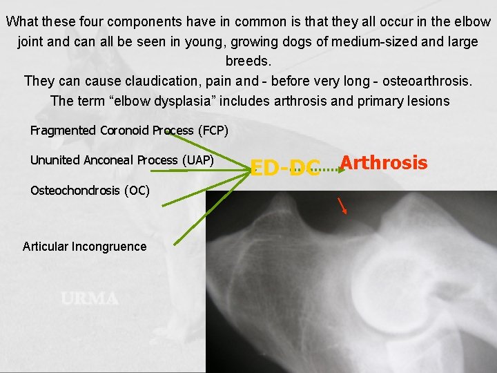 What these four components have in common is that they all occur in the