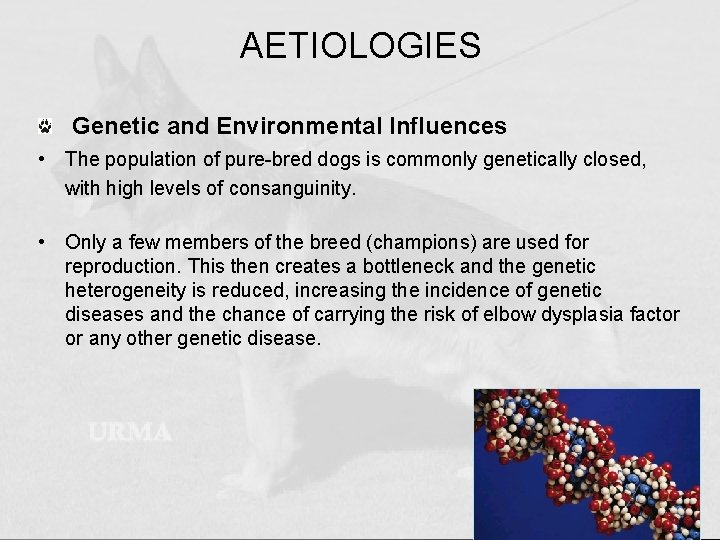 AETIOLOGIES Genetic and Environmental Influences • The population of pure-bred dogs is commonly genetically