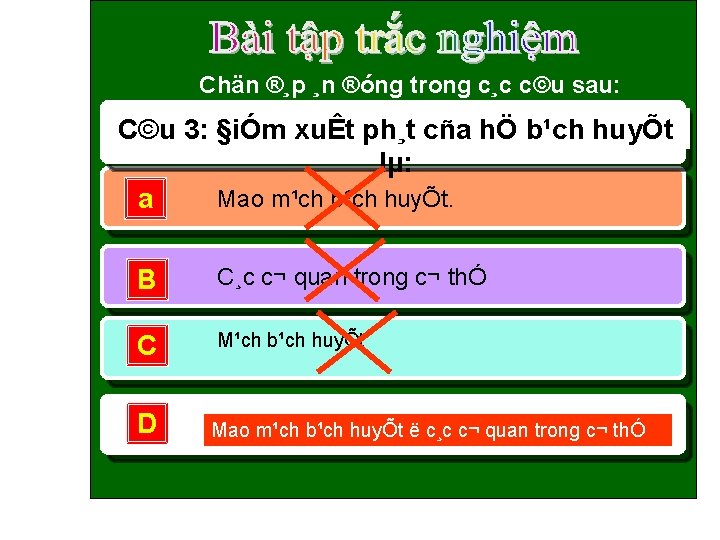 Sinh Häc 8 Chän ®¸p ¸n ®óng trong c¸c c©u sau: C©u 3: §iÓm