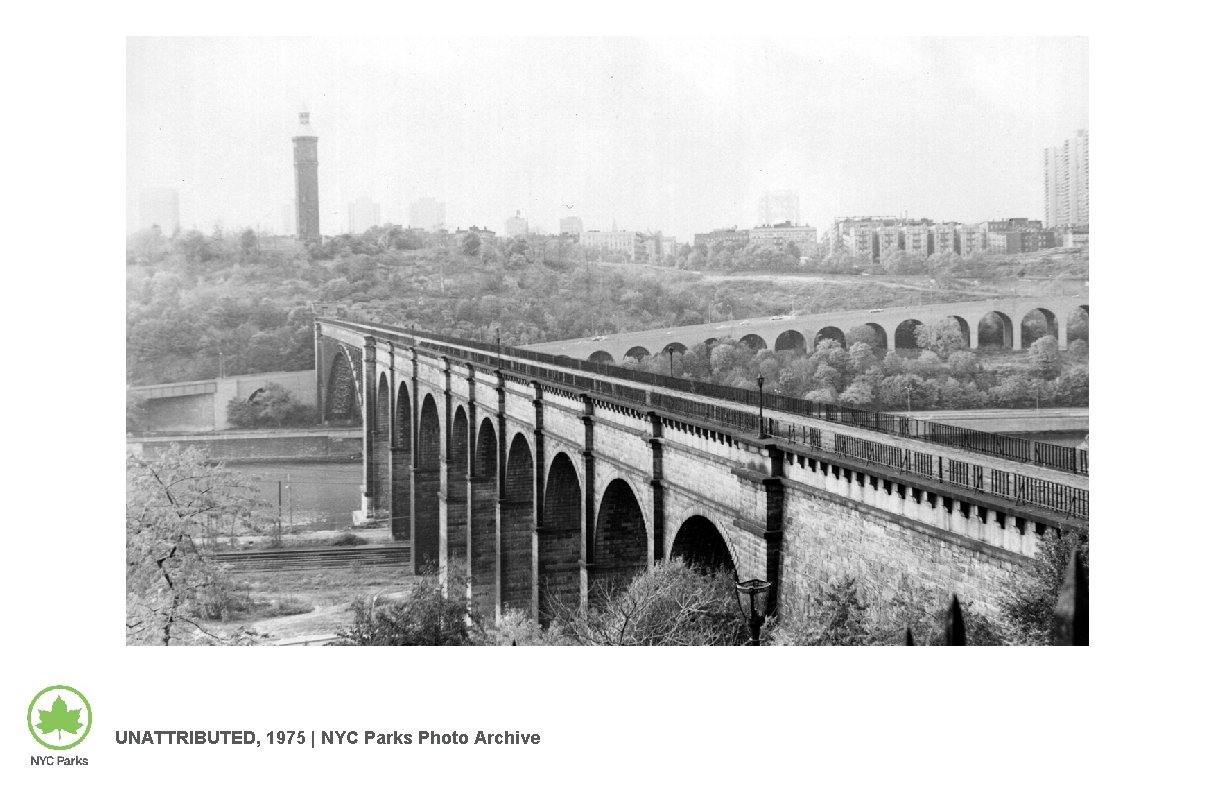 UNATTRIBUTED, 1975 | NYC Parks Photo Archive 