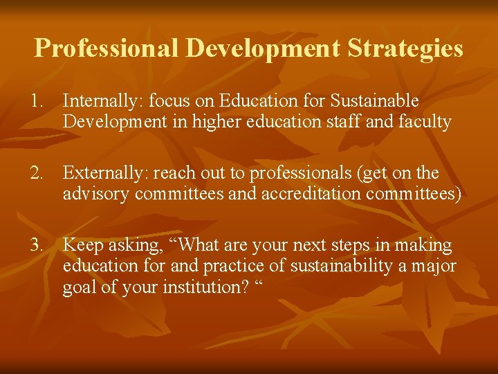 Professional Development Strategies 1. Internally: focus on Education for Sustainable Development in higher education