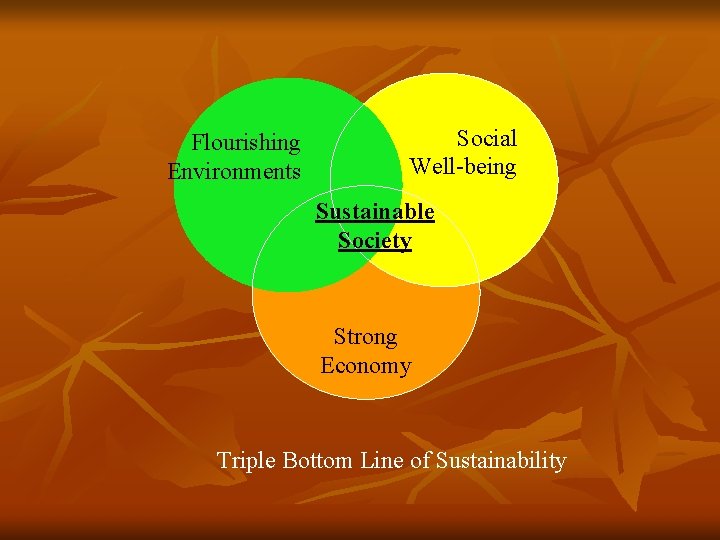 Flourishing Environments Social Well-being Sustainable Society Strong Economy Triple Bottom Line of Sustainability 