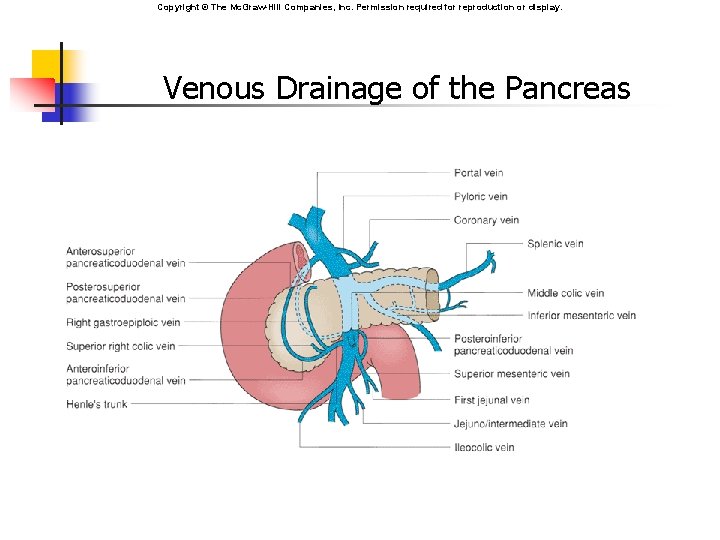 Copyright © The Mc. Graw-Hill Companies, Inc. Permission required for reproduction or display. Venous