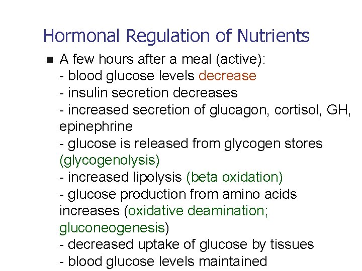 Hormonal Regulation of Nutrients n A few hours after a meal (active): - blood