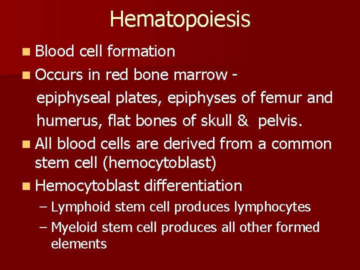 Hematopoiesis n Blood cell formation n Occurs in red bone marrow epiphyseal plates, epiphyses