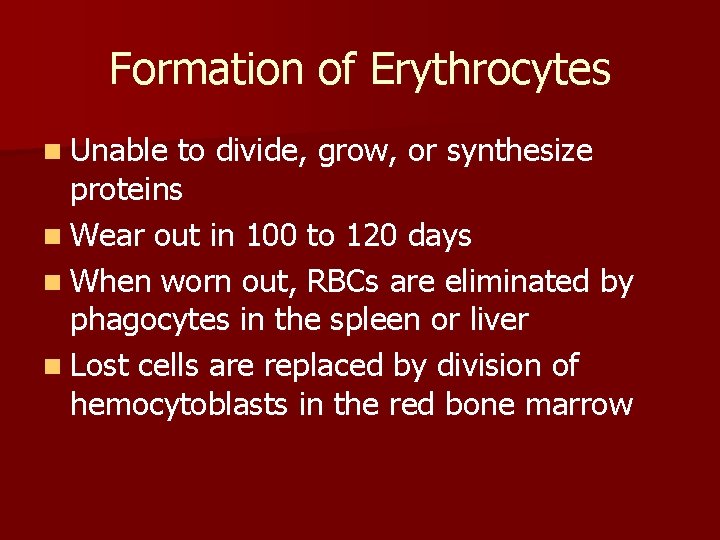 Formation of Erythrocytes n Unable to divide, grow, or synthesize proteins n Wear out