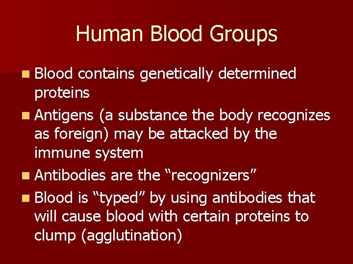 Human Blood Groups n Blood contains genetically determined proteins n Antigens (a substance the