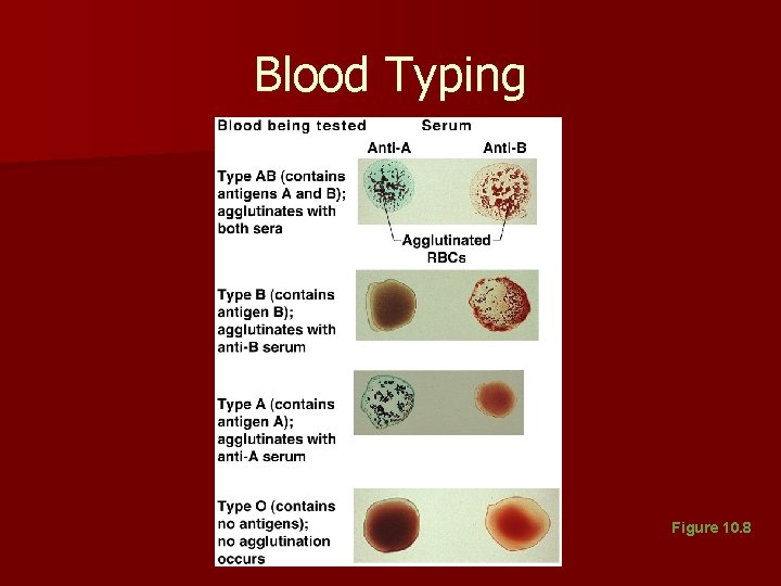 Blood Typing Figure 10. 8 