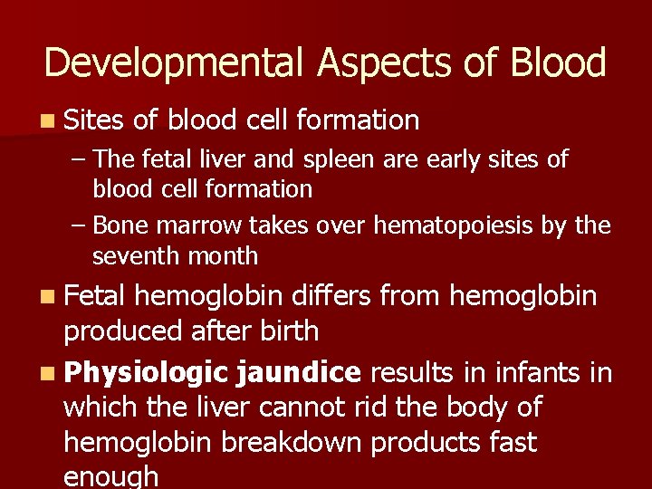 Developmental Aspects of Blood n Sites of blood cell formation – The fetal liver
