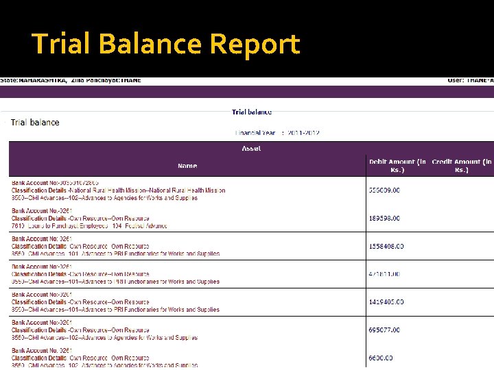 Trial Balance Report 