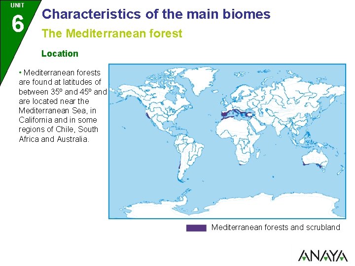 UNIT 6 Characteristics of the main biomes The Mediterranean forest Location • Mediterranean forests