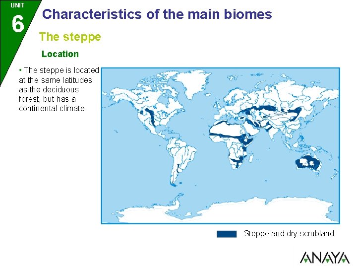 UNIT 6 Characteristics of the main biomes The steppe Location • The steppe is