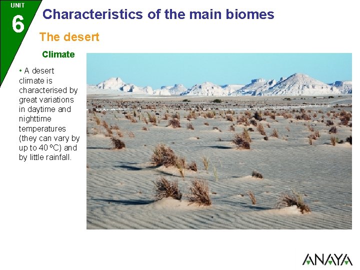 UNIT 6 Characteristics of the main biomes The desert Climate • A desert climate