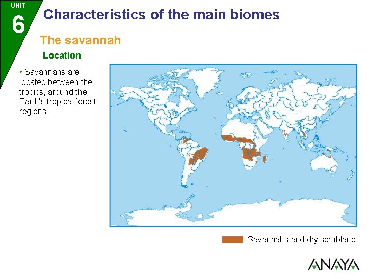 UNIT 6 Characteristics of the main biomes The savannah Location • Savannahs are located