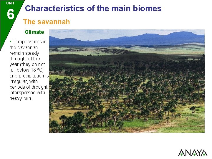 UNIT 6 Characteristics of the main biomes The savannah Climate • Temperatures in the