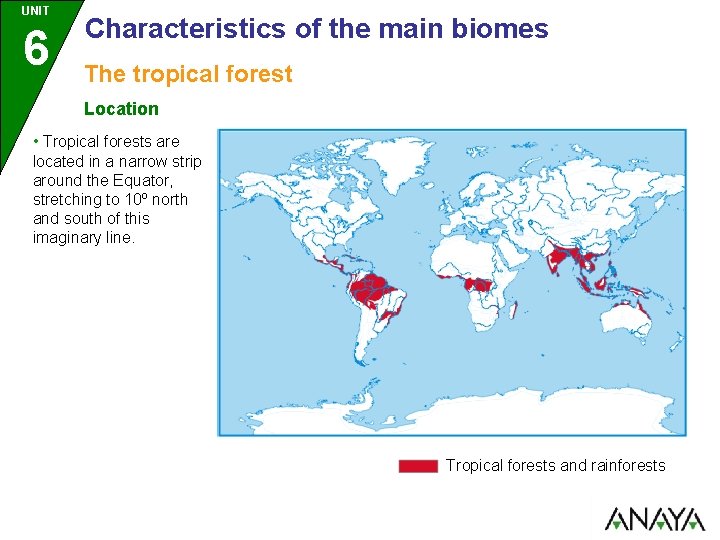 UNIT 6 Characteristics of the main biomes The tropical forest Location • Tropical forests