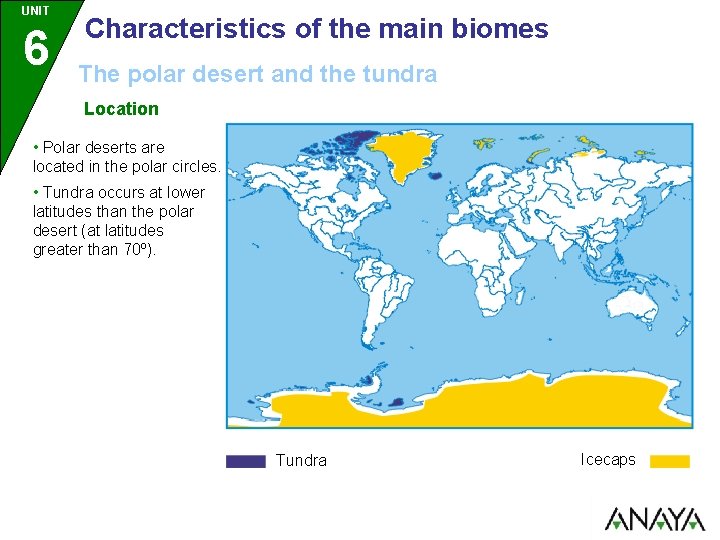 UNIT 6 Characteristics of the main biomes The polar desert and the tundra Location