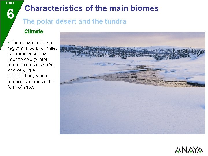 UNIT 6 Characteristics of the main biomes The polar desert and the tundra Climate