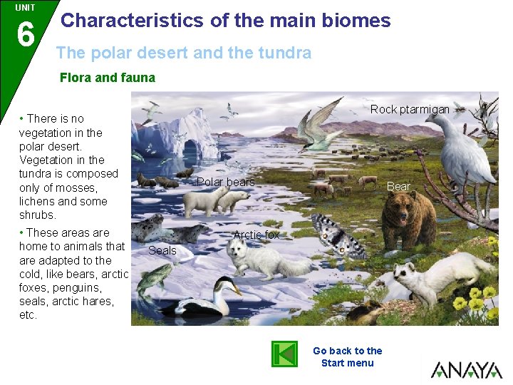 UNIT 6 Characteristics of the main biomes The polar desert and the tundra Flora