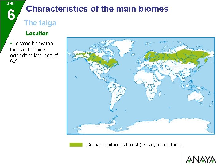 UNIT 6 Characteristics of the main biomes The taiga Location • Located below the