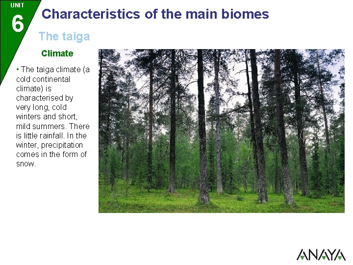 UNIT 6 Characteristics of the main biomes The taiga Climate • The taiga climate