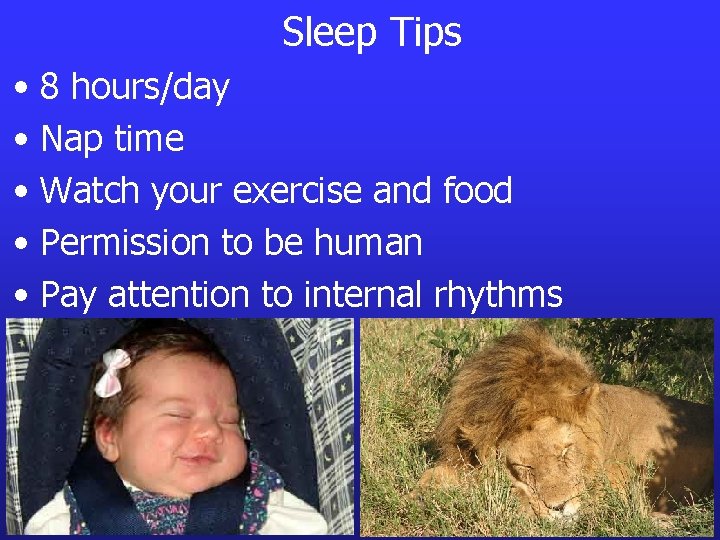 Sleep Tips • 8 hours/day • Nap time • Watch your exercise and food