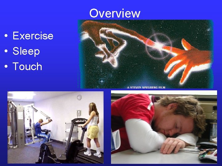 Overview • Exercise • Sleep • Touch 