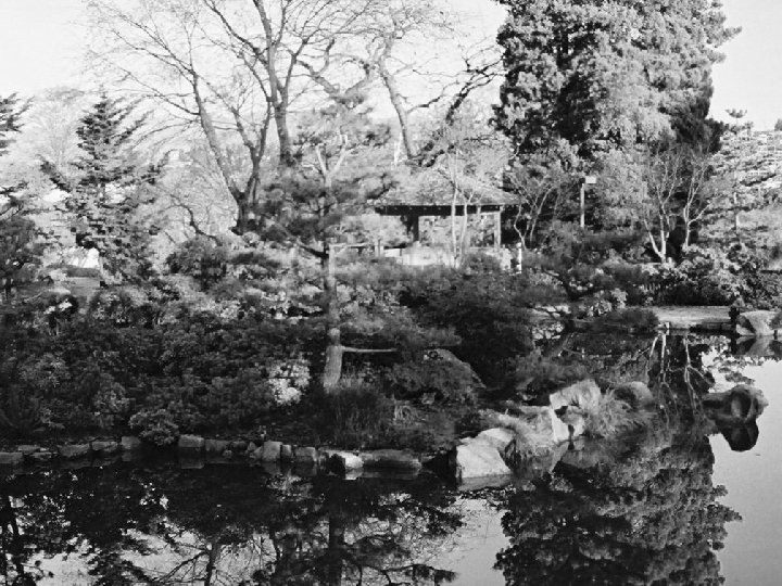 The Colour Wheel: Value 