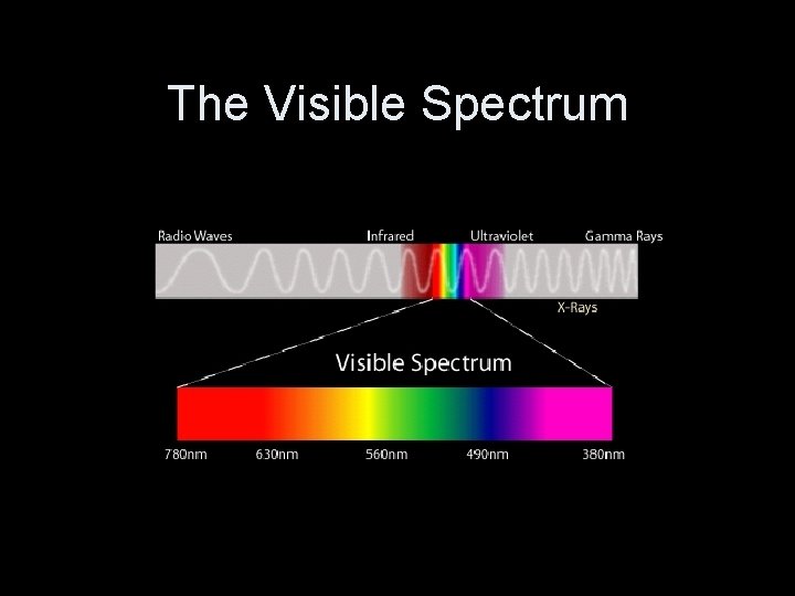 The Visible Spectrum 