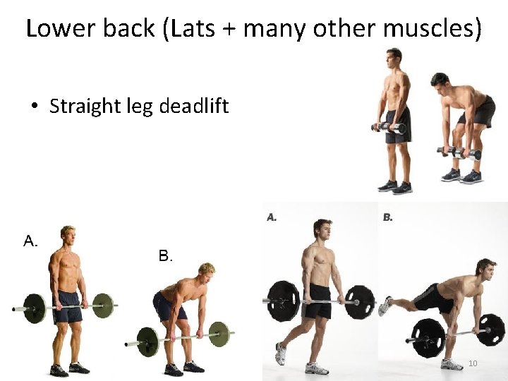 Lower back (Lats + many other muscles) • Straight leg deadlift 10 