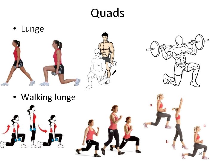 Quads • Lunge • Walking lunge 16 