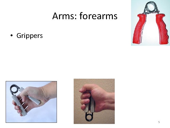 Arms: forearms • Grippers 5 
