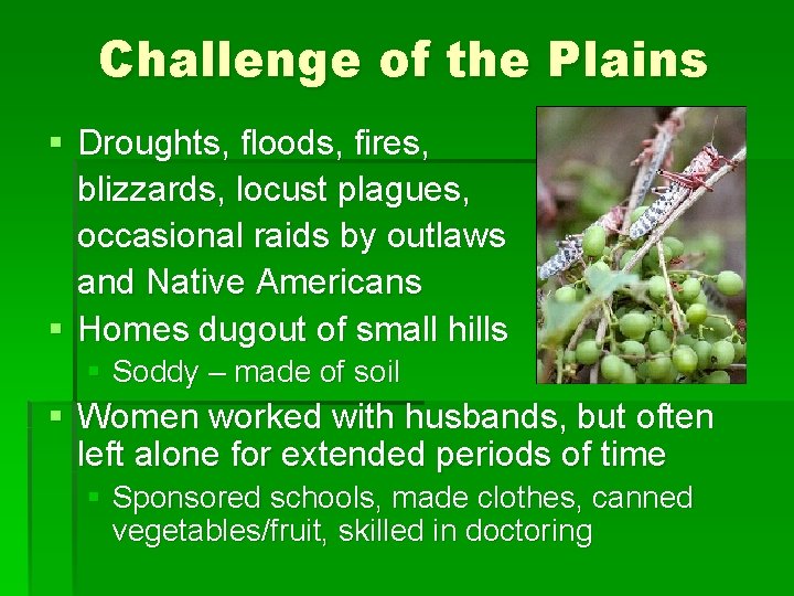 Challenge of the Plains § Droughts, floods, fires, blizzards, locust plagues, occasional raids by