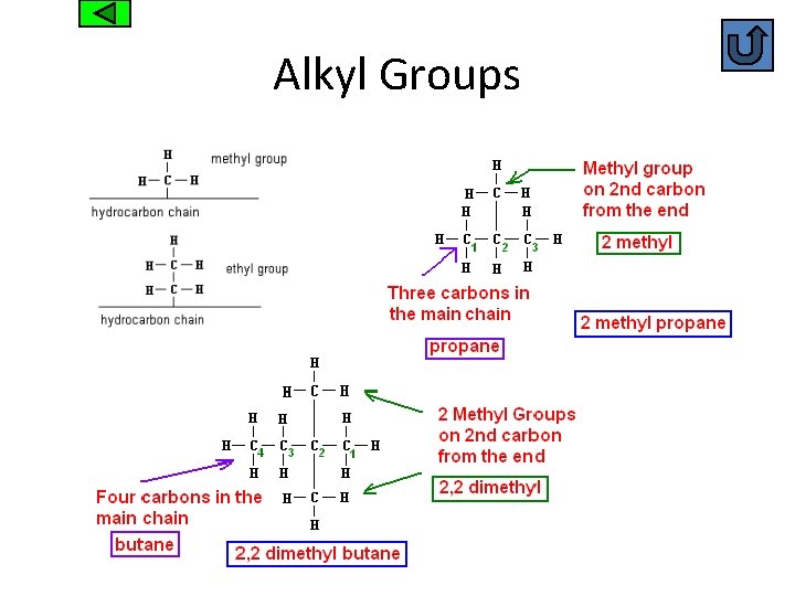 Alkyl Groups 