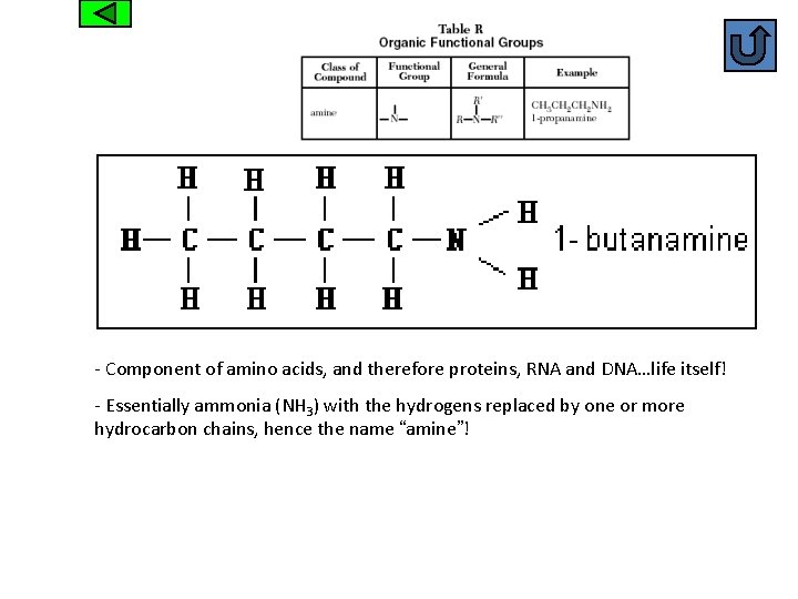 Amine - Component of amino acids, and therefore proteins, RNA and DNA…life itself! -